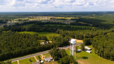 This 60+- acre property offers endless possibilities-ideal for - photo 7