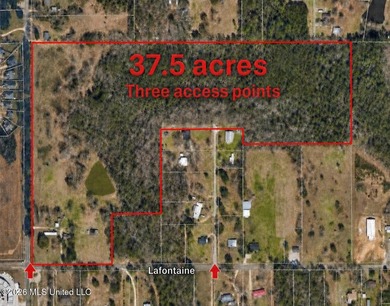 Prime development opportunity in Gulfport! This 37.5-acre tract - photo 1