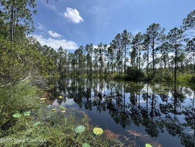 Welcome to your private slice of country paradise. Nestled on 39 - photo 3