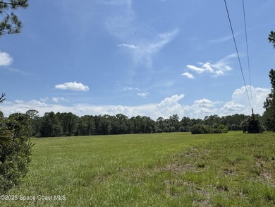 Welcome to your private slice of country paradise. Nestled on 39 - photo 4