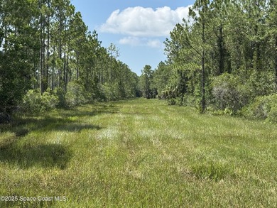 Welcome to your private slice of country paradise. Nestled on 39 - photo 5