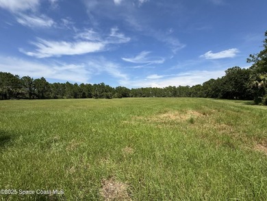 Welcome to your private slice of country paradise. Nestled on 39 - photo 7