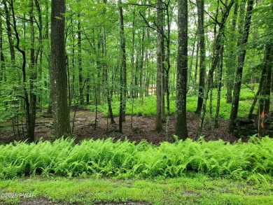 Lake Lot For Sale in Hawley, Pennsylvania