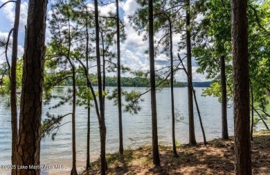 Lake Lot For Sale in Alexander City, Alabama