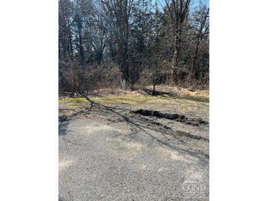 Sleepy Hollow Lake Lot For Sale in Athens New York
