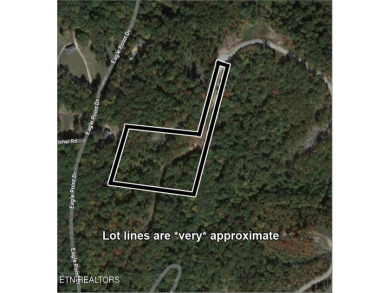 Watts Bar Lake Acreage For Sale in Rockwood Tennessee