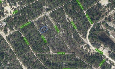 Lake Lot For Sale in Lake Placid, Florida