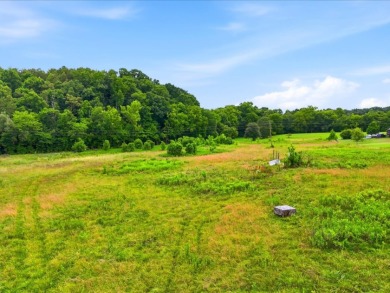 Cleared, Level, Unrestricted Lot - photo 13