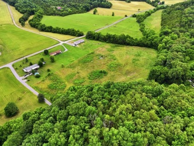 Cleared, Level, Unrestricted Lot - photo 9