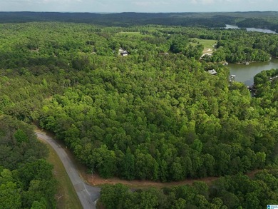 Lake Wedowee / RL Harris Reservoir Lot For Sale in Wedowee Alabama