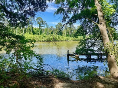 Lake Front Lot - photo 1