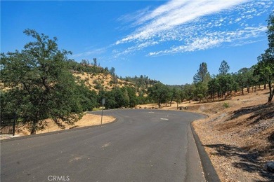 Create your custom dream home on this exceptional vacant lot in - photo 11