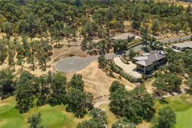 Create your custom dream home on this exceptional vacant lot in - photo 16