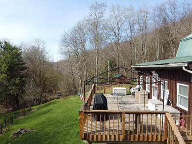 Private Catskills cabin just steps from the Pepacton Reservoir - photo 18