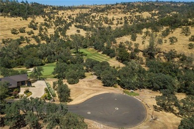 Create your custom dream home on this exceptional vacant lot in - photo 18