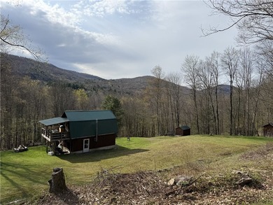 Private Catskills cabin just steps from the Pepacton Reservoir - photo 20