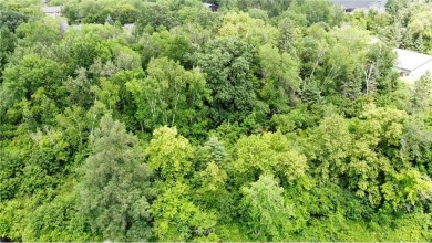 Lake Acreage For Sale in Pillager, Minnesota