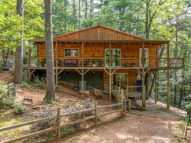 (private lake, pond, coastal) Home For Sale in Ellijay Georgia