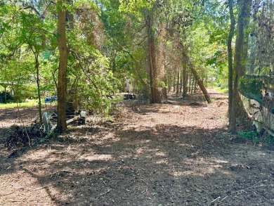 Lake Front Lot - photo 3