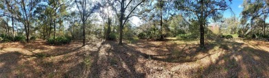 (private lake, pond, creek) Acreage For Sale in New Port Richey Florida