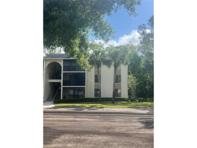 Lake Condo For Sale in Tarpon Springs, Florida