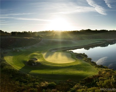 Brand-new spec home coming Summer 2026 in the Black Diamond - photo 8