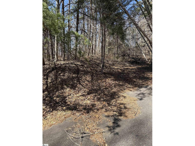 North Saluda Reservoir Acreage For Sale in Travelers Rest South Carolina