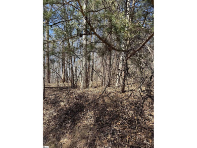 If you are looking for a secluded area with privacy, mountain - photo 3
