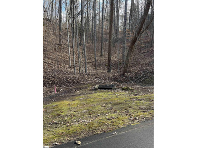 If you are looking for a secluded area with privacy, mountain - photo 4