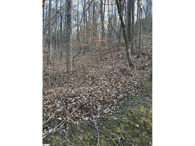 If you are looking for a secluded area with privacy, mountain - photo 5