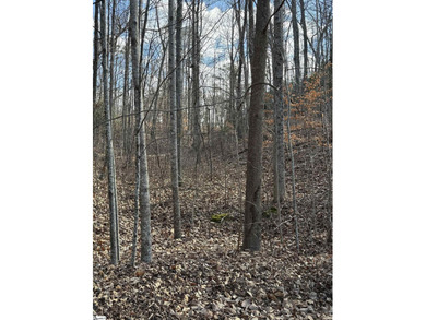 If you are looking for a secluded area with privacy, mountain - photo 7