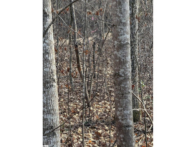If you are looking for a secluded area with privacy, mountain - photo 8