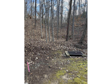 If you are looking for a secluded area with privacy, mountain - photo 9