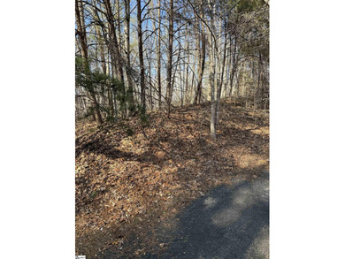 If you are looking for a secluded area with privacy, mountain - photo 10