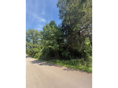 Lake Lot For Sale in Tool, Texas