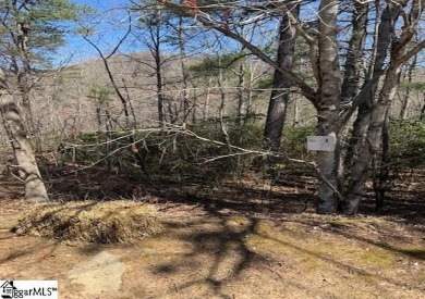 North Saluda Reservoir Lot For Sale in Travelers Rest South Carolina