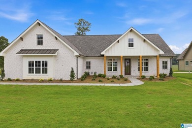 Under Construction-Under construction-new lakefront 5-bedroom - photo 3
