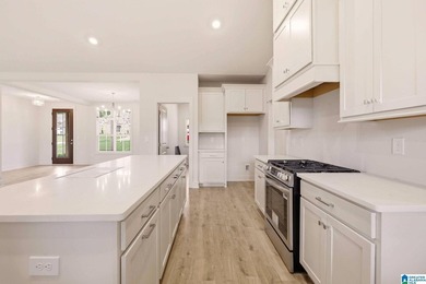 Under Construction-Under construction-new lakefront 5-bedroom - photo 9