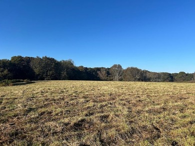 (private lake, pond, coastal) Acreage For Sale in Bowdon Georgia