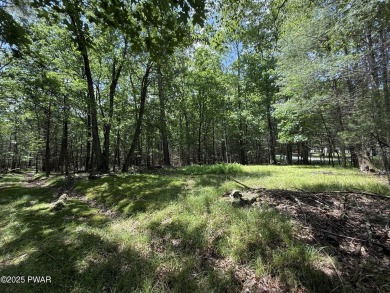Lake Lot For Sale in Hawley, Pennsylvania