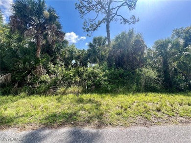 Port Charlotte Waterway Area Lot For Sale in Port Charlotte Florida