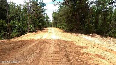 Yalobusha County 70.758 Acres of Open and Wooded land with a - photo 2