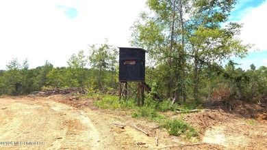 Yalobusha County 70.758 Acres of Open and Wooded land with a - photo 3