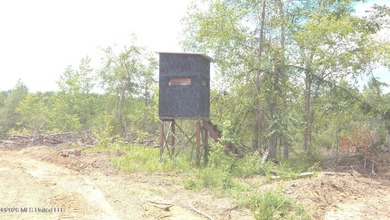 Yalobusha County 70.758 Acres of Open and Wooded land with a - photo 4