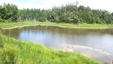 Yalobusha County 70.758 Acres of Open and Wooded land with a - photo 5