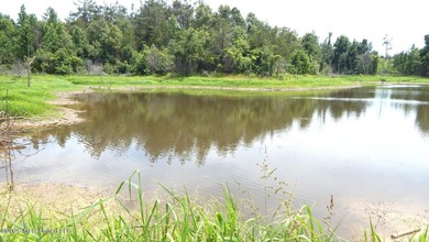 Yalobusha County 70.758 Acres of Open and Wooded land with a - photo 6