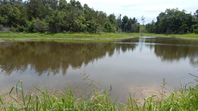 Yalobusha County 70.758 Acres of Open and Wooded land with a - photo 7