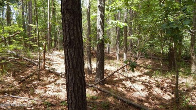 Yalobusha County 70.758 Acres of Open and Wooded land with a - photo 8