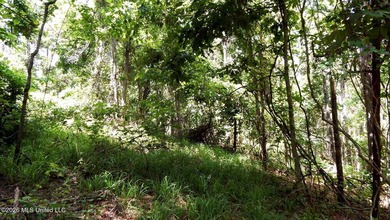 Yalobusha County 70.758 Acres of Open and Wooded land with a - photo 9