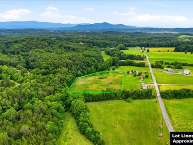Cleared, Level, Unrestricted Lot - photo 17